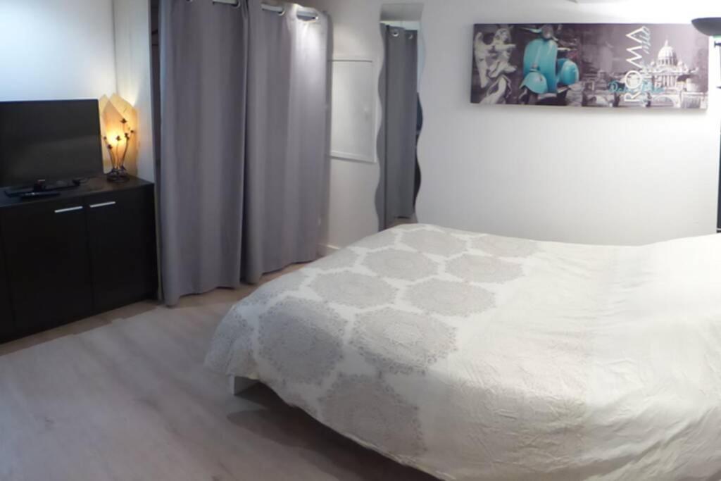 Neuf Avec Courette Privative